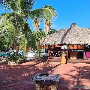 Woodstock Palmresort Curacao Frühstückspension